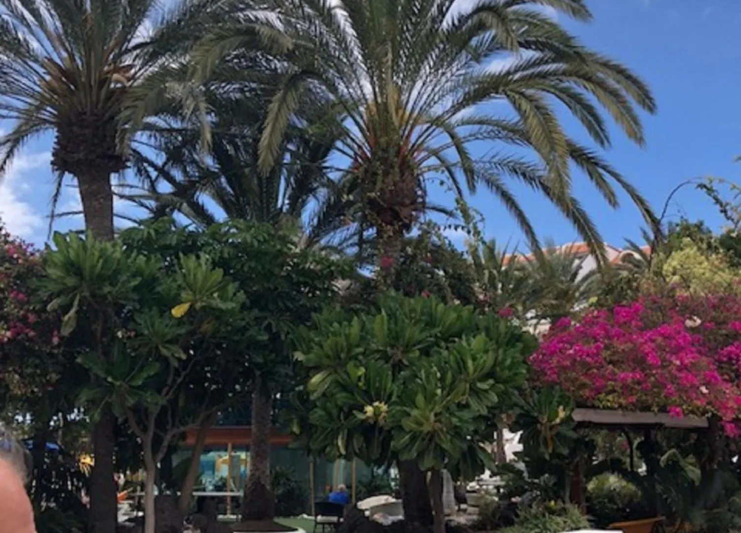 Wonderland With The Best Swimming Pool In Park S III Apartment Playa de las Americas