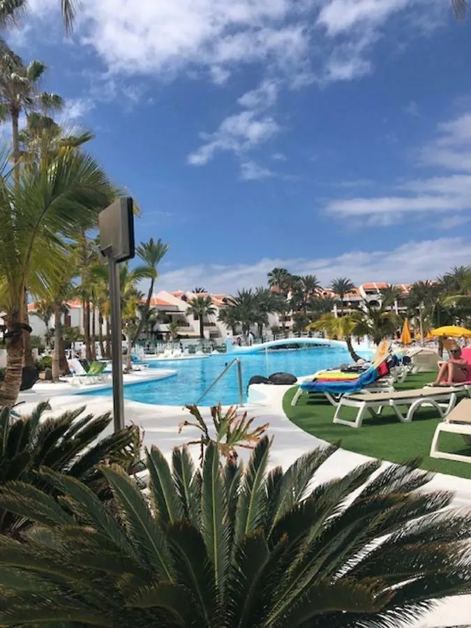 Wonderland With The Best Swimming Pool In Park S III Apartment Playa de las Americas  Spain